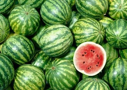 西藏瓜适合怎么吃,解锁高原美味新体验 第2张 西藏瓜适合怎么吃,解锁高原美味新体验 第2张